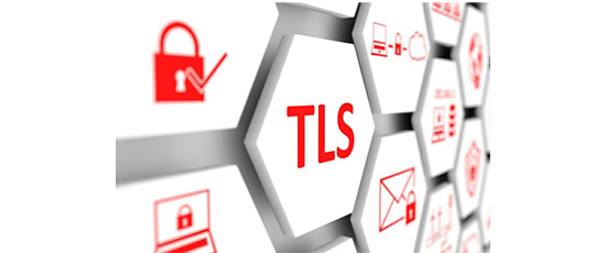 دارای امنیت لایه ی انتقال (TLS)