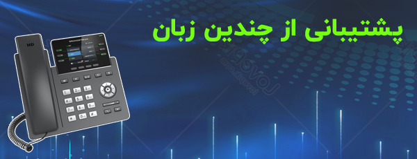 پشتیبانی از چندین زبان مختلف 